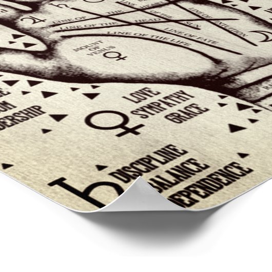 Palmie Poster (Hoek)