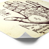 Palmie Poster (Hoek)