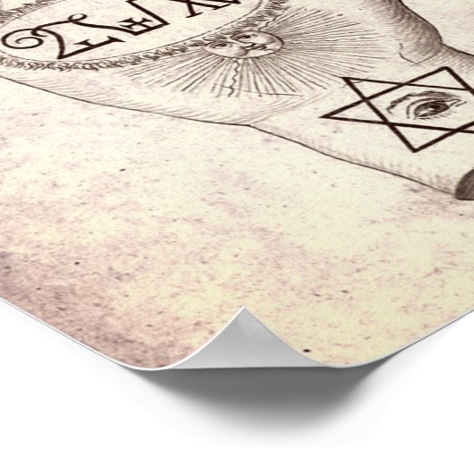 Palmie Poster (Hoek)