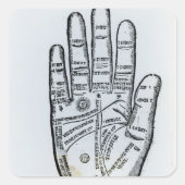 Palmie Vierkante Sticker (Voorkant)