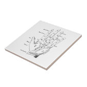 Palmistry fortuin Telling Tegeltje (Zijkant)