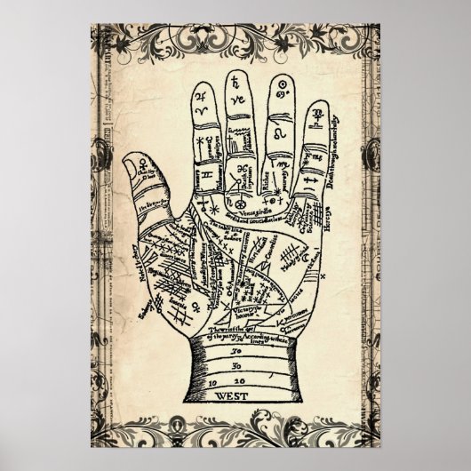 Palmistry Fortune Teller Hand Poster Print (Voorkant)