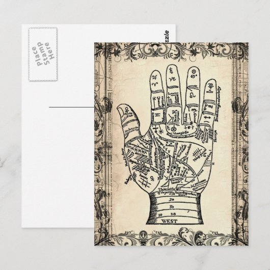 Palmistry Vintage Fortune Teller Briefkaart (Voorkant / Achterkant)