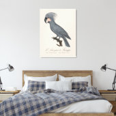 Palmkaketoe, Probosciger aterrimus Canvas Afdruk (Insitu (Slaapkamer))