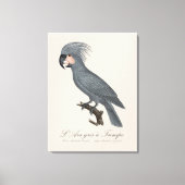 Palmkaketoe, Probosciger aterrimus Canvas Afdruk (Voorkant)