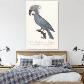 Palmkaketoe, Probosciger aterrimus Canvas Afdruk (Insitu (Slaapkamer))