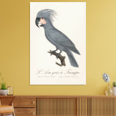 Palmkaketoe, Probosciger aterrimus Canvas Afdruk (Insitu (Woonkamer))