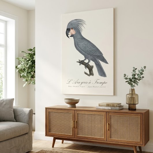 Palmkaketoe, Probosciger aterrimus Canvas Afdruk