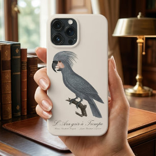 Palmkaketoe, Probosciger aterrimus Case-Mate iPhone Case