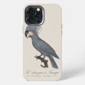 Palmkaketoe, Probosciger aterrimus iPhone Hoesje (Achterkant)