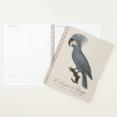 Palmkaketoe, Probosciger aterrimus Planner (Display)