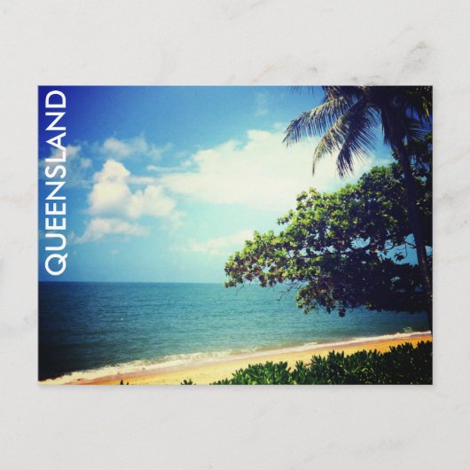 palmkever briefkaart (Voorkant)