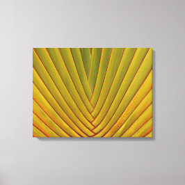 Palmleder Canvas Afdruk