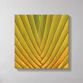 Palmleder Canvas Afdruk