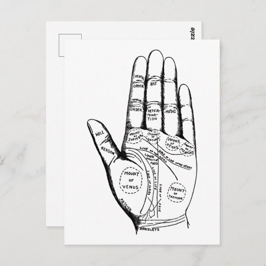  palmlezers briefkaart (Voorkant / Achterkant)