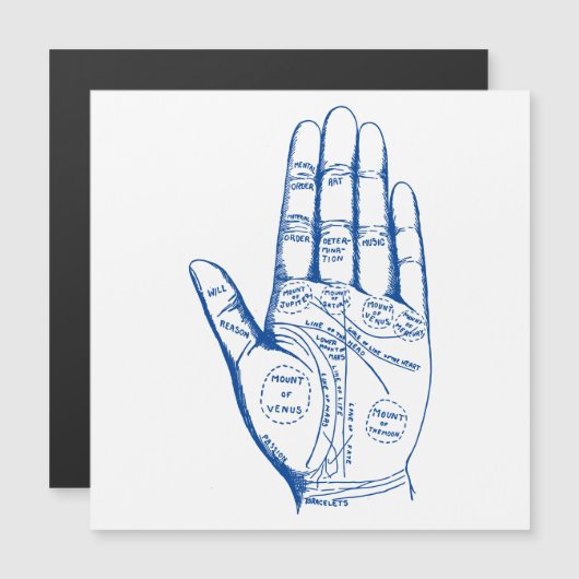 palmlezers magnetische uitnodiging (Voorkant / Achterkant)