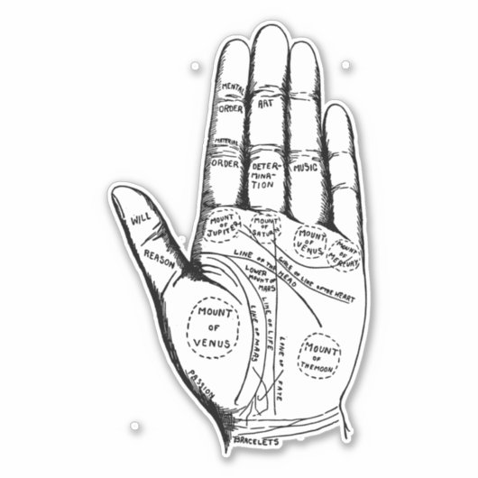  palmlezers sticker (Voorkant)