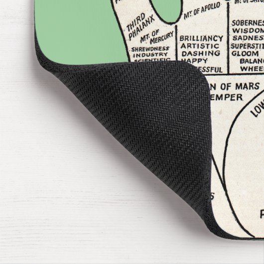  palmlezing palmistry fortuin muismat (Hoek)