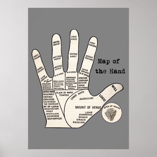  palmlezing palmistry fortuin poster (Voorkant)