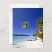 Palmlijnde Cookeilanden Briefkaart (Voorkant / Achterkant)