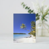 Palmlijnde Cookeilanden Briefkaart (Staand voorkant)