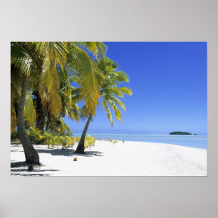 Palmlijnstrand Cookeilanden 2 Poster