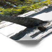 Palmlijnstrand Cookeilanden 3 Poster (Hoek)