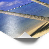 Palmlijnstrand Cookeilanden 6 Foto Afdruk (Hoek)