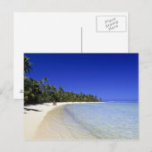 Palmlijnstrand Cookeilanden 8 Briefkaart (Voorkant / Achterkant)