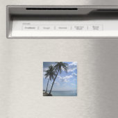 Palmmagneet 2 magneet (Insitu (Vaatwasser))