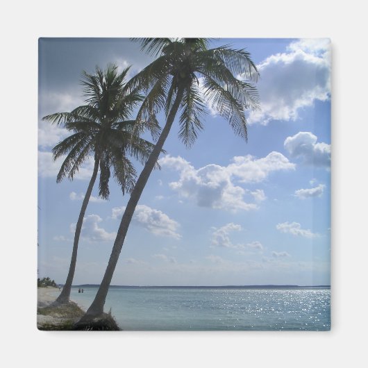 Palmmagneet 2 magneet (Voorkant)
