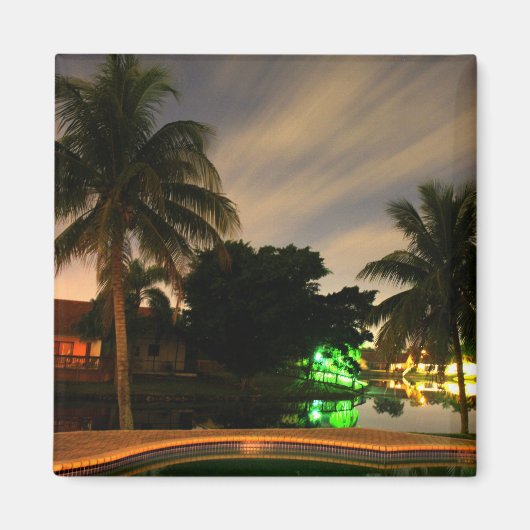 palmmagneet magneet (Voorkant)