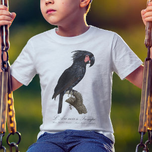Palmpapegaai, Probosciger aterrimus papegaai, retr T-shirt