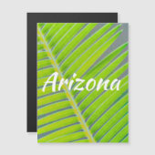 Palmpatronen, Arizona (Voorkant / Achterkant)