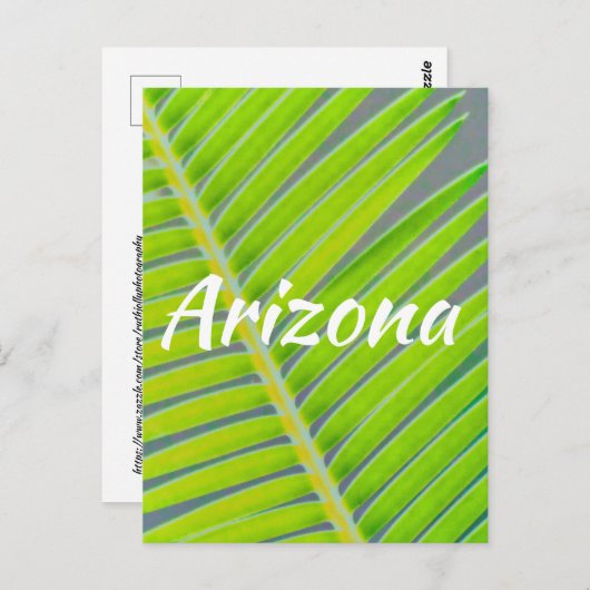 Palmpatronen, Arizona Briefkaart (Voorkant / Achterkant)