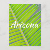 Palmpatronen, Arizona Briefkaart (Voorkant)