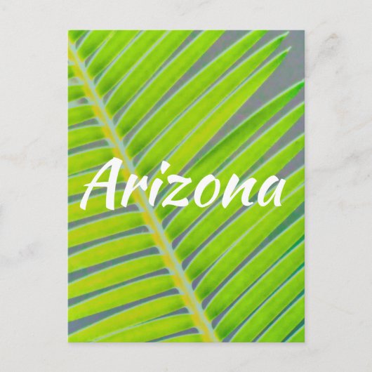 Palmpatronen, Arizona Briefkaart (Voorkant)