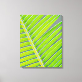 Palmpatronen Canvas Afdruk