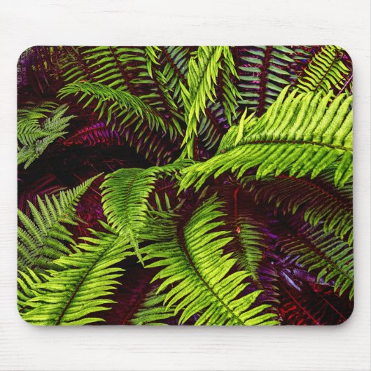 Palms 2 Mousepad Muismat (Voorkant)