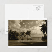 Palms Briefkaart (Voorkant / Achterkant)