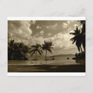 Palms Briefkaart