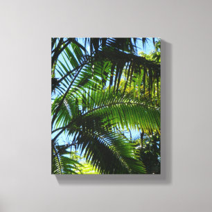 Palms Canvas Afdruk