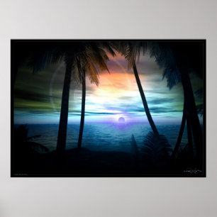 Palms Poster