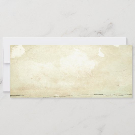 Palms Seaside Boarding Pass Wedding Ticket Kaart (Achterkant)