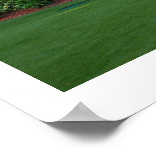 Palms van Florida Poster (Hoek)