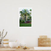 Palms van Florida Poster (Keuken)