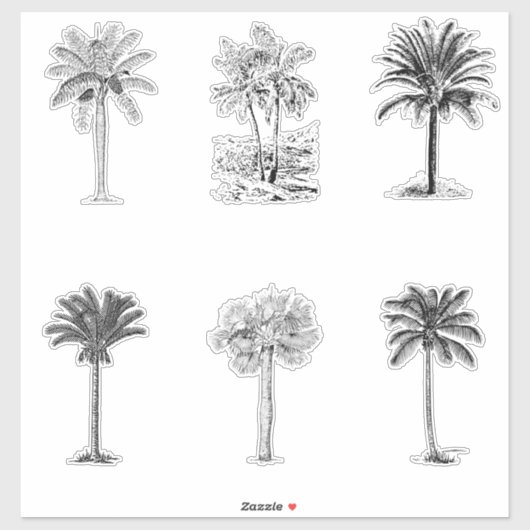  palmschetsen sticker (Vel)