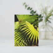 Palmschijfjes Briefkaart (Staand voorkant)