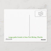 Palmschijfjes Briefkaart (Achterkant)
