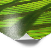 Palmschijflagen, Abstract landschapspatroon Foto Afdruk (Hoek)